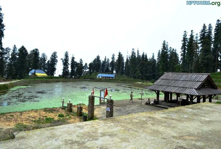 Kamrunaag