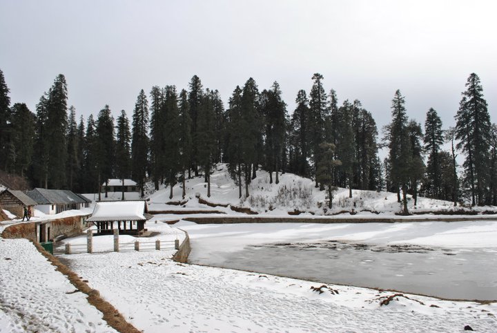 Kamrunaag